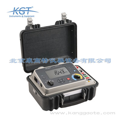 DLRO100H便携微欧表